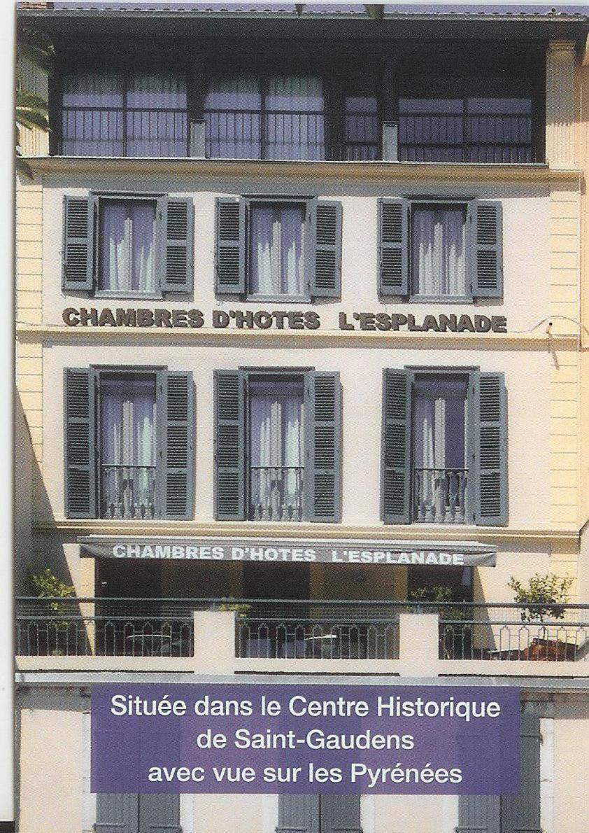 Maison De L'Esplanade Saint Gaudens Εξωτερικό φωτογραφία